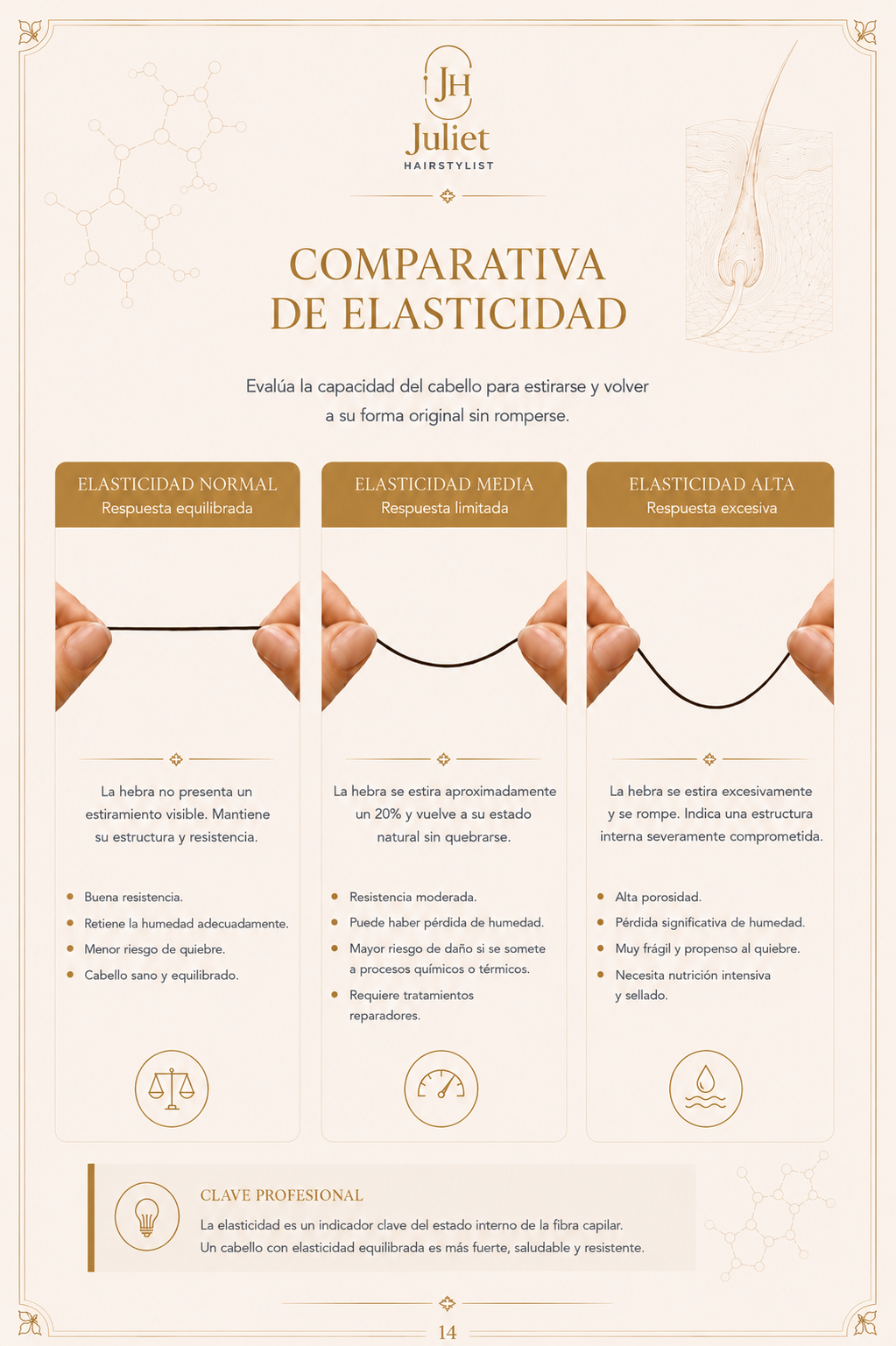 Página real del manual: Comparativa de elasticidad